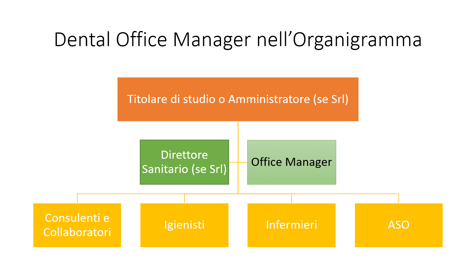 Office Manager e Organigramma